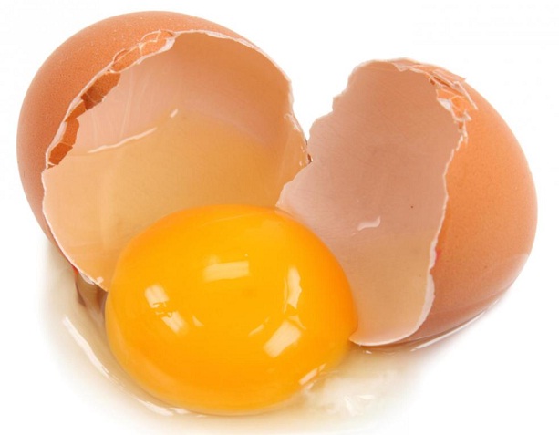 生卵よりゆで卵？卵でしっかりタンパク質を補給